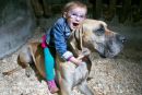 Posebna vez med dogo in deklico z epilepsijo