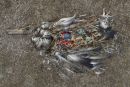 Mrtvi albatrosi z otoka Midway