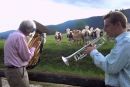 Jazz za krave