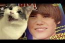 Mačka, ki ne mara Bieberja