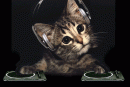 DJ muc
