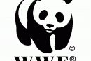 WWF – 